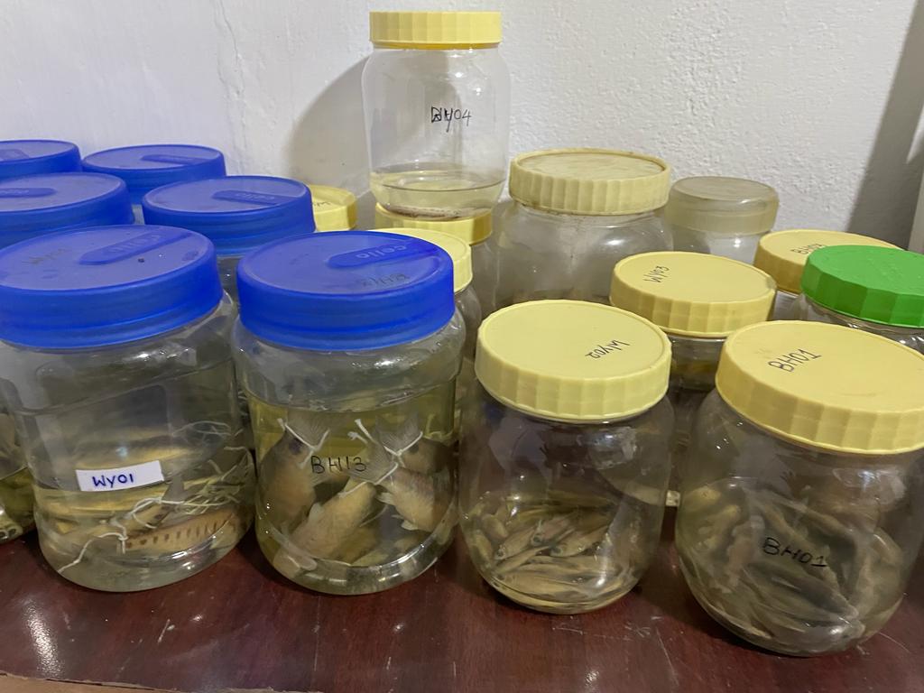 Water Management and Freshwater Fish Conservation Laboratory