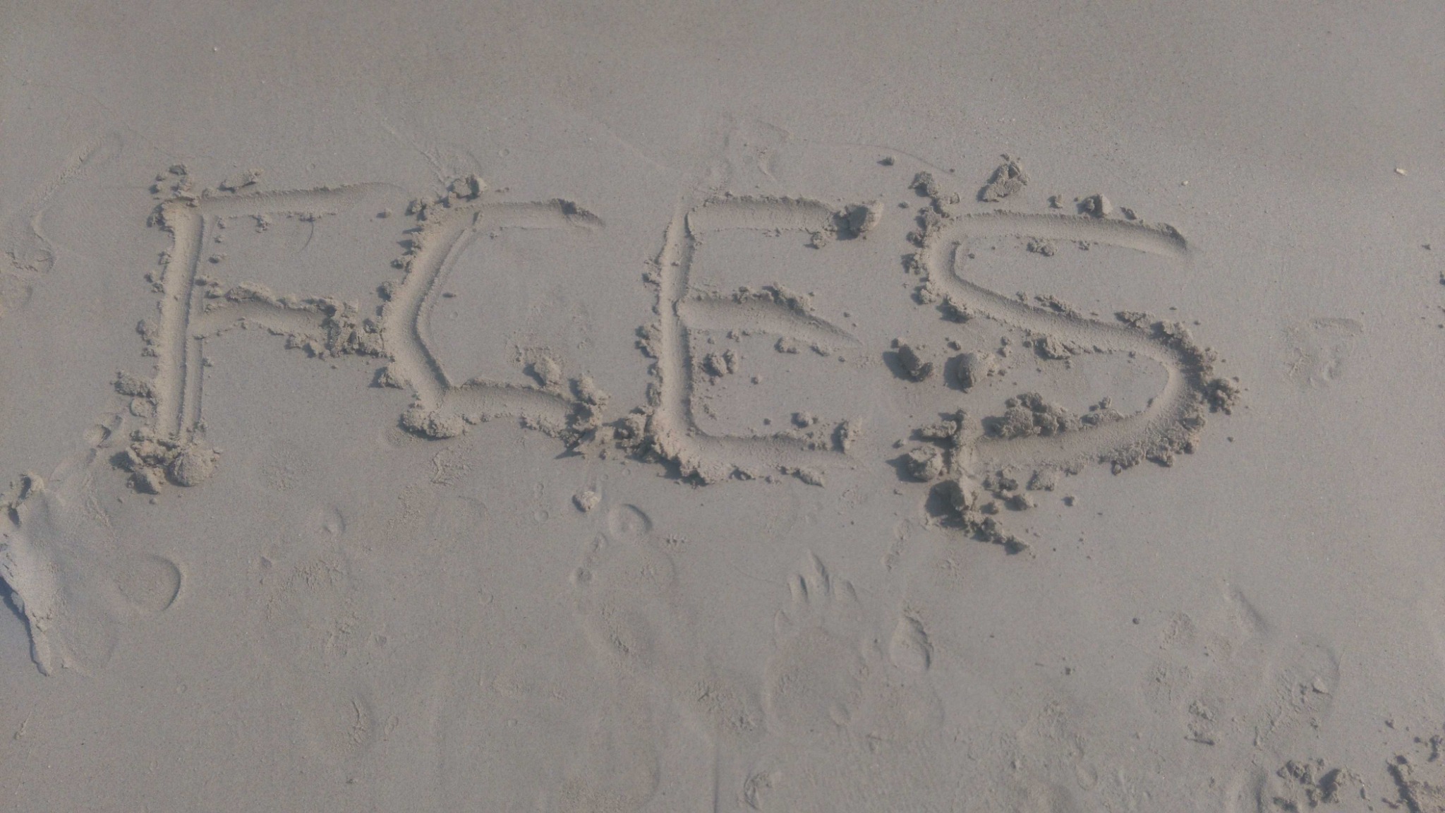 FCES visual on beach